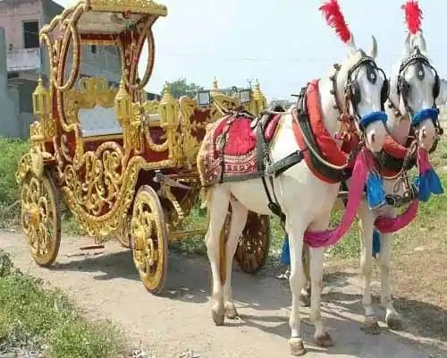 horse baggi in visakhapatnam horse bhaggi on rental in visakhapatnam